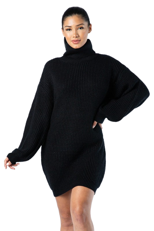 Black Turtleneck Mini Dress